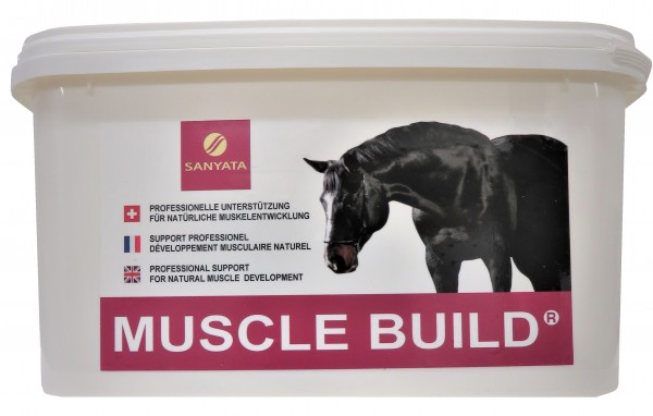 MUSCLE BUILD®
